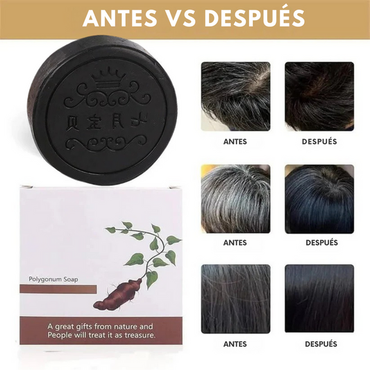 HairRevive™ | Oferta 2X1 ✨ Shampoo Anticaída & Anti caspa